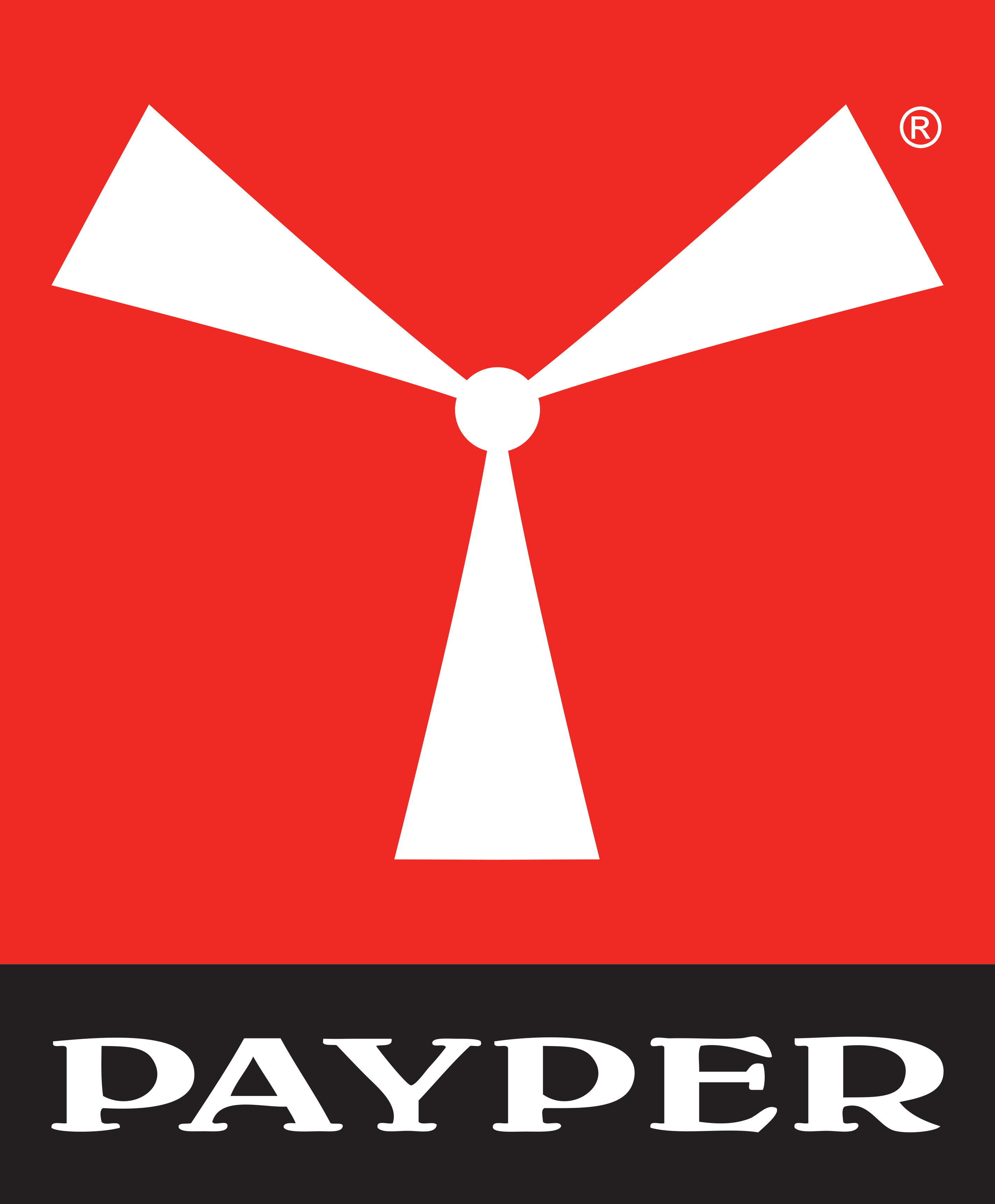 PAYPERistituzionale logo vetical